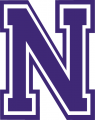 Northwestern State Demons 2000-2007 Alternate Logo Iron On Transfer
