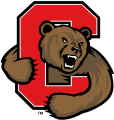 Cornell Big Red 2002-Pres Primary Logo Print Decal