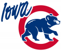 Iowa Cubs 2007-Pres Alternate Logo Print Decal