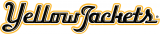 AIC Yellow Jackets 2009-Pres Wordmark Logo Iron On Transfer