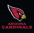 Arizona Cardinals 2005-Pres Wordmark Logo 04 Print Decal