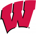 Wisconsin Badgers 1991-Pres Primary Logo Print Decal