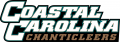 Coastal Carolina Chanticleers 2002-Pres Wordmark Logo Iron On Transfer