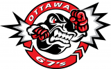 Ottawa 67s 2012 13-Pres Alternate Logo Print Decal