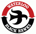 Waterloo Black Hawks 1979 80-2006 07 Primary Logo Print Decal