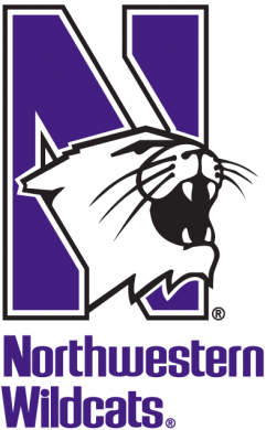 Northwestern Wildcats 1981-Pres Alternate Logo Iron On Transfer