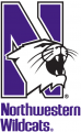 Northwestern Wildcats 1981-Pres Alternate Logo Print Decal