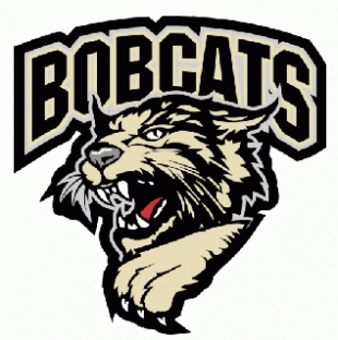 Bismarck Bobcats 2006 07-Pres Primary Logo Iron On Transfer