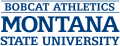Montana State Bobcats 1997-2012 Wordmark Logo Iron On Transfer