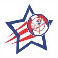 New York Yankees Baseball Goal Star logo Print Decal