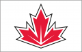 World Cup of Hockey 2016-2017 Jersey 10 Logo Iron On Transfer