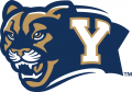 Brigham Young Cougars 2005-2014 Alternate Logo Print Decal