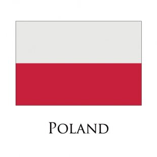 Poland flag logo Iron On Transfer