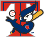 Toronto Blue Jays 2001-2002 Alternate Logo Iron On Transfer