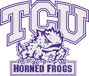 TCU Horned Frogs 1995-Pres Alternate Logo Print Decal