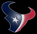 Houston Texans Plastic Effect Logo Print Decal