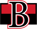 Belleville Senators 2017-Pres Primary Logo Print Decal