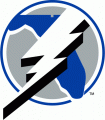 Tampa Bay Lightning 1992 93-2000 01 Alternate Logo Print Decal