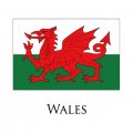 Wales flag logo Iron On Transfer