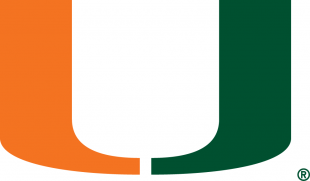 Miami Hurricanes 1972-Pres Primary Logo Print Decal