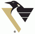Pittsburgh Penguins 2002 03-2006 07 Alternate Logo Iron On Transfer