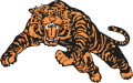 Princeton Tigers 1984-Pres Alternate Logo 01 Print Decal