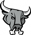 San Antonio Rampage 2006 07-Pres Secondary Logo Print Decal