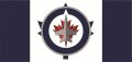 Winnipeg Jets Flag001 logo Print Decal
