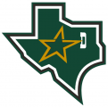 Dallas Stars 1999 00-2012 13 Alternate Logo Iron On Transfer