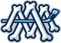 Milwaukee Admirals 2015 16-Pres Alternate Logo 2 Print Decal