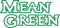 North Texas Mean Green 2005-Pres Wordmark Logo 03 Print Decal