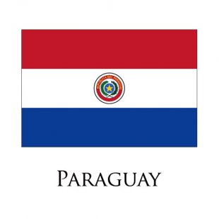 Paraguay flag logo Print Decal