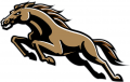 Western Michigan Broncos 1998-2015 Alternate Logo Print Decal