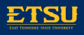 ETSU Buccaneers 2014-Pres Wordmark Logo 11 Iron On Transfer