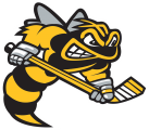 Sarnia Sting 2019 20-Pres Primary Logo Print Decal