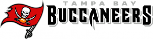 Tampa Bay Buccaneers 2014-Pres Wordmark Logo 07 Iron On Transfer