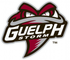 Guelph Storm 2018 19-Pres Primary Logo Iron On Transfer