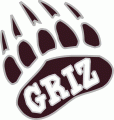 Montana Grizzlies 1996-Pres Alternate Logo 01 Print Decal