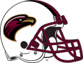 Louisiana-Monroe Warhawks 2006-Pres Helmet Print Decal