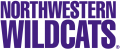 Northwestern Wildcats 1981-Pres Wordmark Logo 04 Print Decal