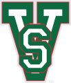 MVSU Delta Devils 1996-Pres Alternate Logo Iron On Transfer