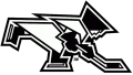 Providence Friars 2000-Pres Misc Logo Print Decal