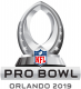 NFL-Pro Bowl Iron On Transfer