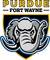 Purdue Fort Wayne Mastodons 2018-Pres Primary Logo Print Decal