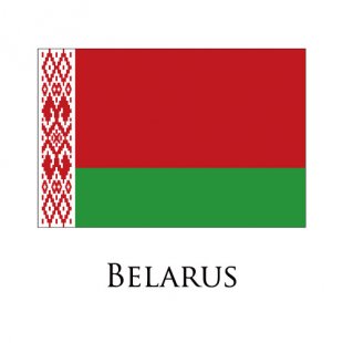 Belarus flag logo Iron On Transfer