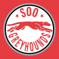 Sault Ste. Marie Greyhounds 1998 99-2008 09 Alternate Logo Iron On Transfer