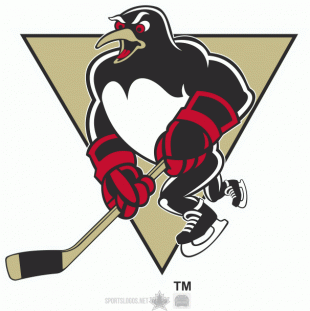 Wilkes-Barre_Scranton 2011 12-2015 16 Alternate Logo Print Decal