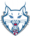 Minnesota Lynx 2011-2017 Alternate Logo Iron On Transfer