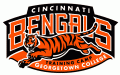 Cincinnati Bengals 1997-Pres Special Event Logo Print Decal