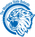 Montana State Bobcats 1960-1978 Alternate Logo 01 Print Decal